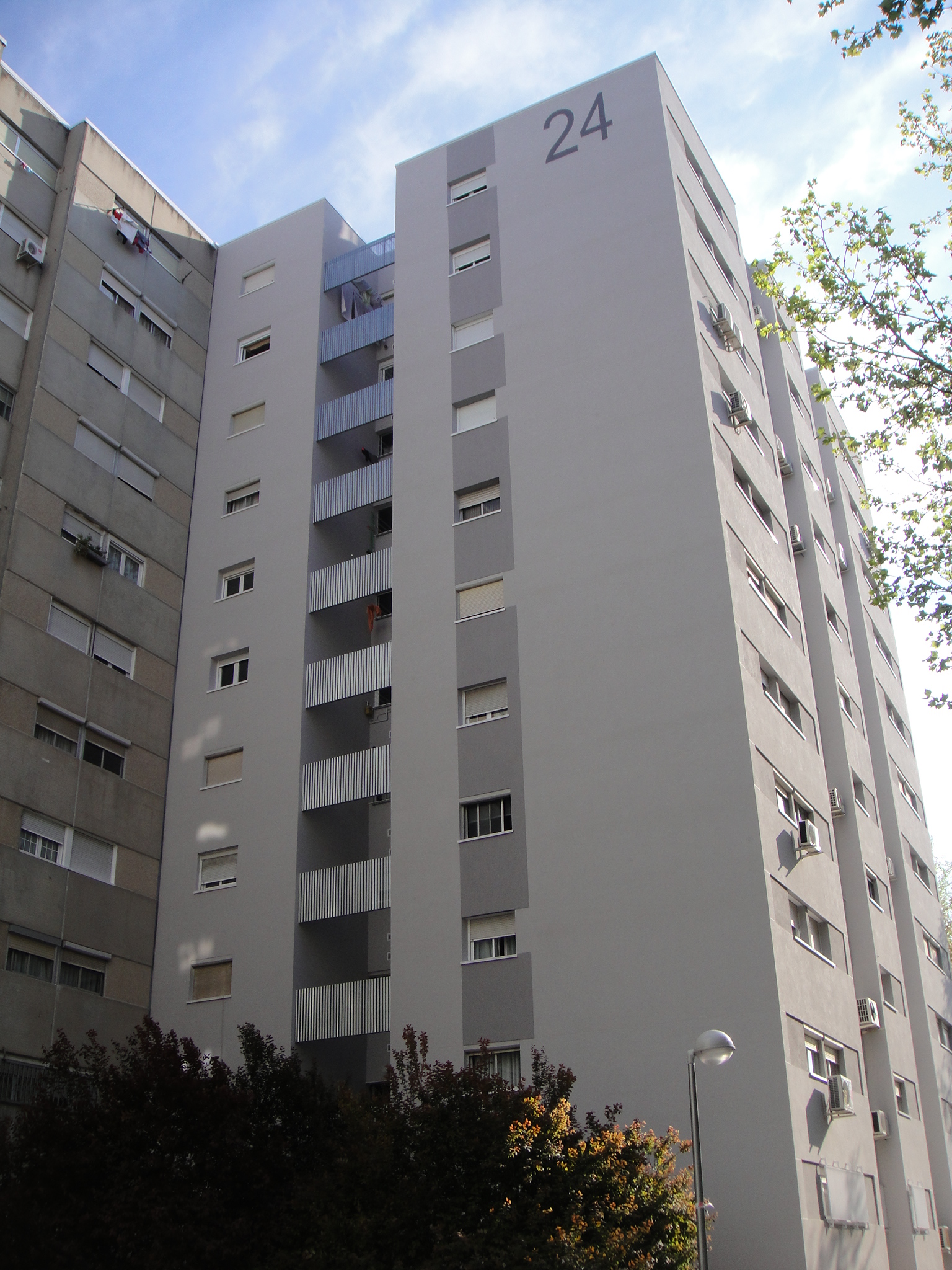 DSC08118
